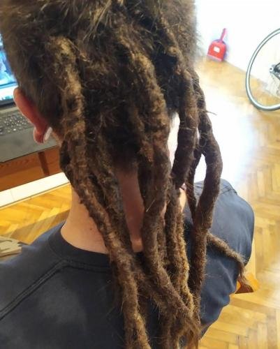 dreadlock javitas 12