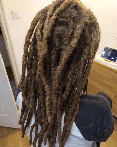 dreadlock javitas 19