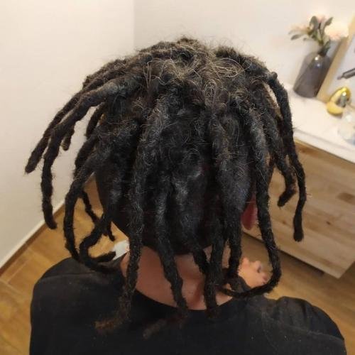 dreadlock javitas 22